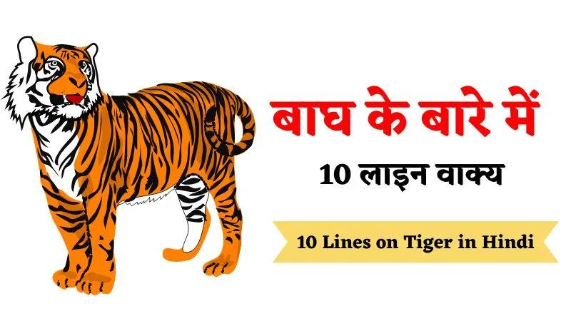 10 Lines on Tiger in Hindi