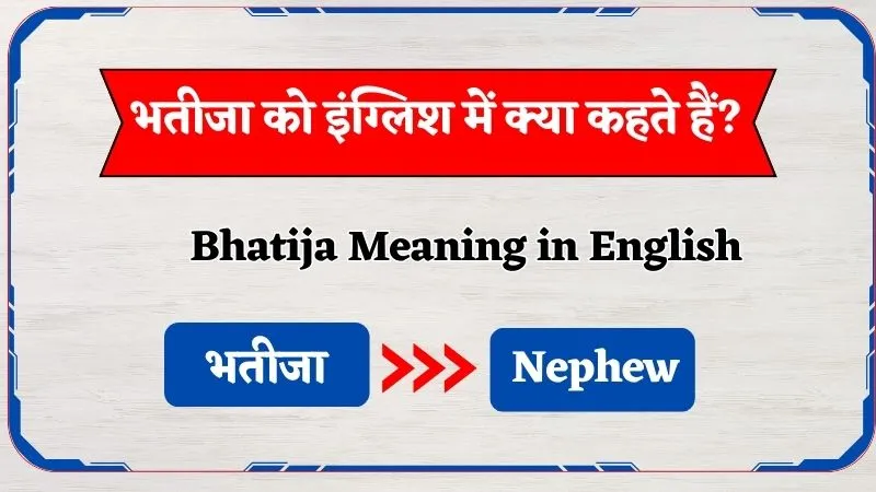 Bhatije Ko English Mein Kya Kehte Hain