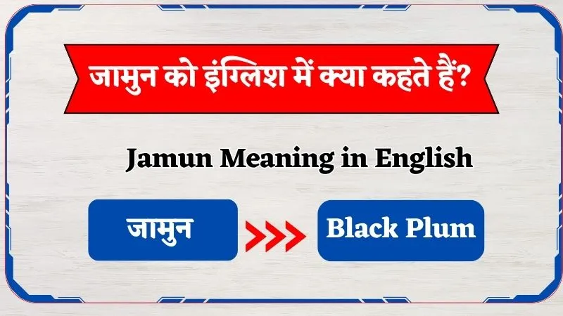 Jamun Ko English Mein Kya Kehte Hai