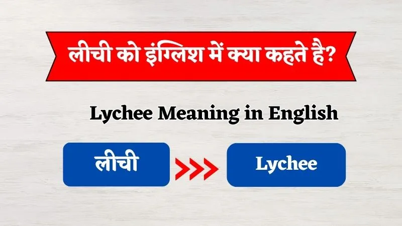 Lichi Meaning in English